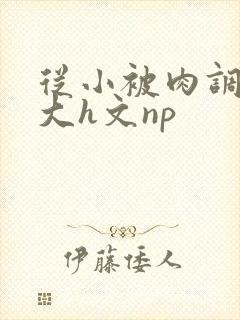 从小被肉调教到大h文np封面