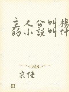 主人公叫杨小天的小说叫什么名字