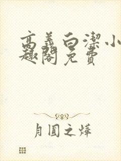 高义白洁小说笔趣阁免费