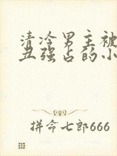 清冷男主被老肥丑强占的小说叫什么