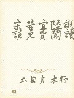 宋若宜陆识彦小说免费阅读最新章节