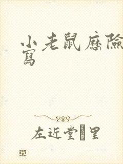 小老鼠历险记续写封面