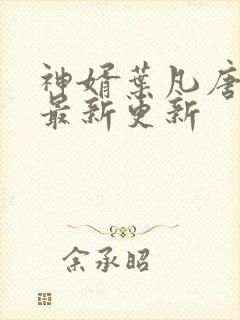 神婿叶凡唐若雪最新更新