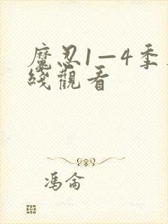 魔忍1—4季在线观看
