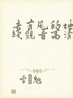 去有风的地方在线观看高清电视剧封面