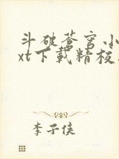 斗破苍穹小说txt下载精校版封面