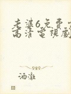 老婆6免费完整高清电视剧在线观看