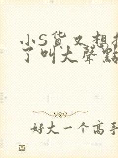 小S货又想挨C了叫大声点小