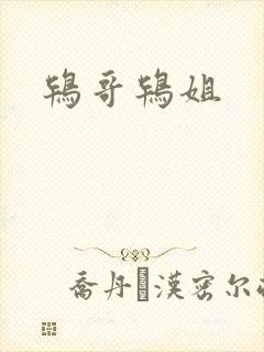 鸨哥鸨姐
