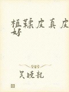 植鞣皮真皮哪个好