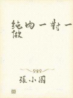 纯肉一对一到处做