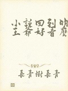 小说回到明朝当王爷好看么