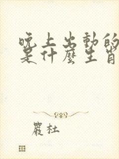 晚上出动的动物是什么生肖