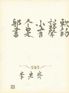 那个小说软件听书是有声的