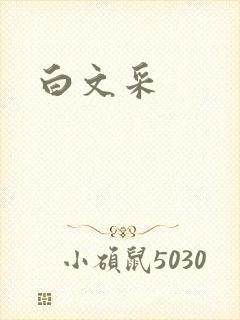 白文采封面