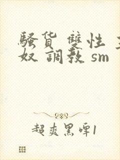 骚货 双性 主奴 调教 sm封面