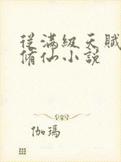 从满级天赋开始修仙小说