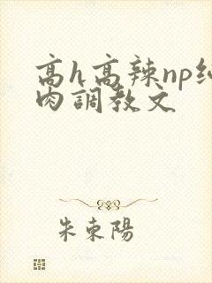 高h高辣np纯肉调教文封面