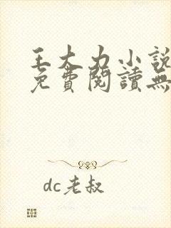 王大力小说小说免费阅读无弹窗