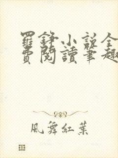 罗铮小说全文免费阅读笔趣阁