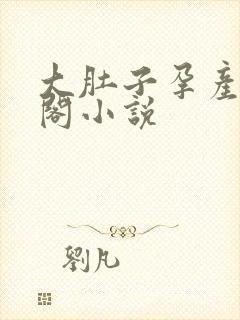 大肚子孕产笔趣阁小说