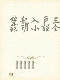 双龙入户三人行苏玥小说全文阅读