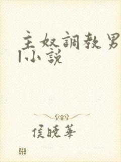 主奴调教男男bl小说封面