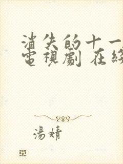 消失的十一层 电视剧 在线观看