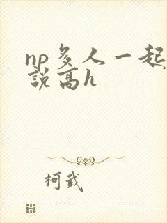 np多人一起小说高h
