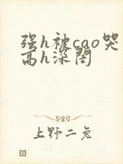 强h被cao哭高h深闺