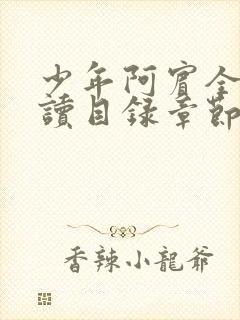 少年阿宾全文阅读目录章节