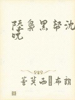 陆枭黑帮沈念苏晚