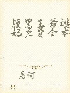 腹黑王爷逃跑王妃免费全本小说