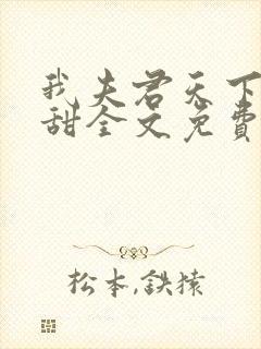 我夫君天下第一甜全文免费阅读封面