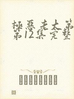 极恶老大第2季第12集完整版