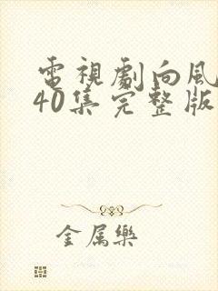 电视剧向风而行40集完整版免费观看