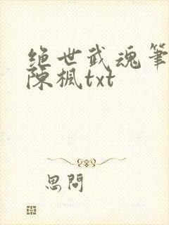 绝世武魂笔趣阁陈枫txt