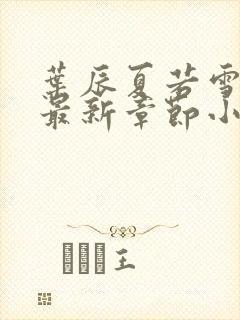 叶辰夏若雪孙怡最新章节小说封面