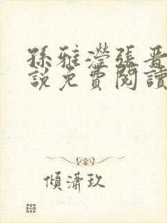 孙雅滢张晋的小说免费阅读无弹窗