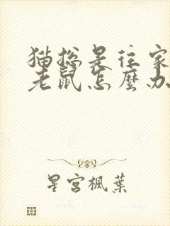 猫总是往家里叼老鼠怎么办