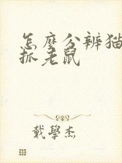 怎么分辨猫抓不抓老鼠