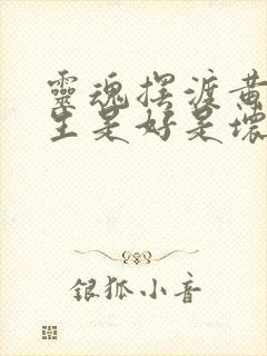 灵魂摆渡黄泉长生是好是坏