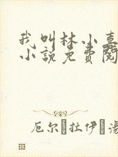 我叫林小喜全文小说免费阅读