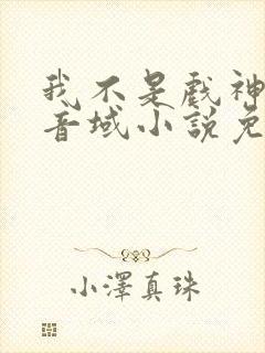 我不是戏神三九音域小说免费版封面