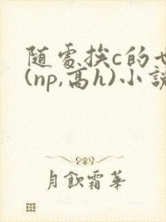 随处挨c的世界(np,高h)小说