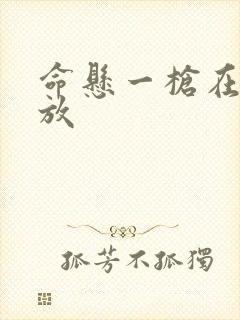 命悬一枪在线播放