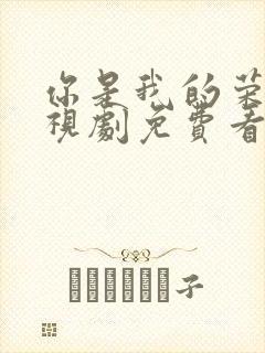 你是我的荣耀电视剧免费看全集