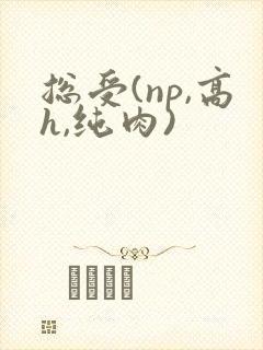 总受(np,高h,纯肉)