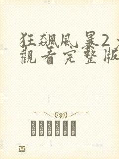 狂飙风暴2免费观看完整版封面