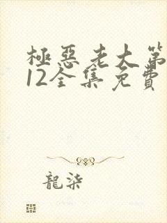 极恶老大第二季12全集免费播放